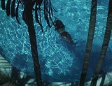 girl_in_pool