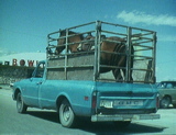 horse_pickup