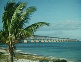 keys_palm_old_hiway