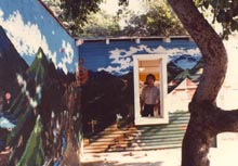 shed & mural